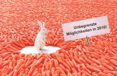 Hase.jpg